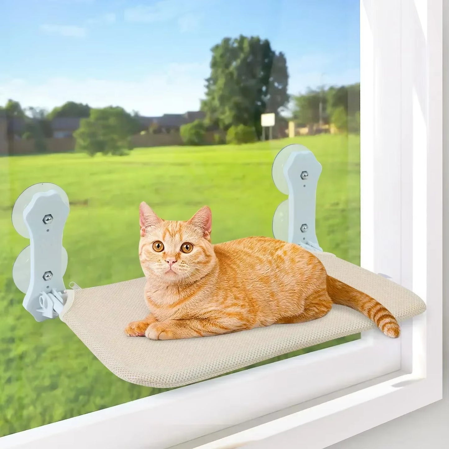 Space-Saving Window Cat Hammock