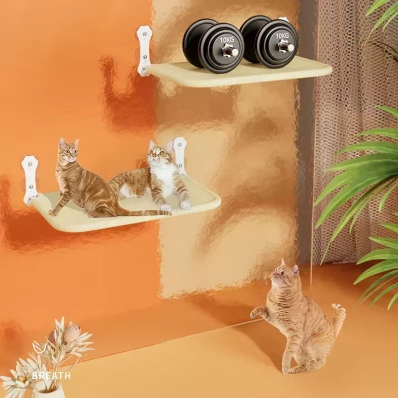 Space-Saving Window Cat Hammock